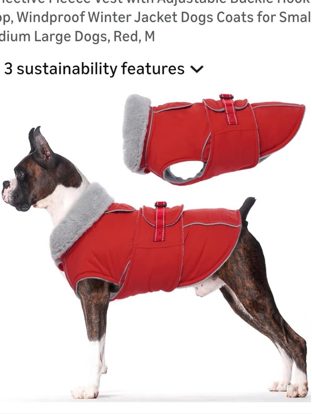 Red Dog Winter Coat with Fleece Collar